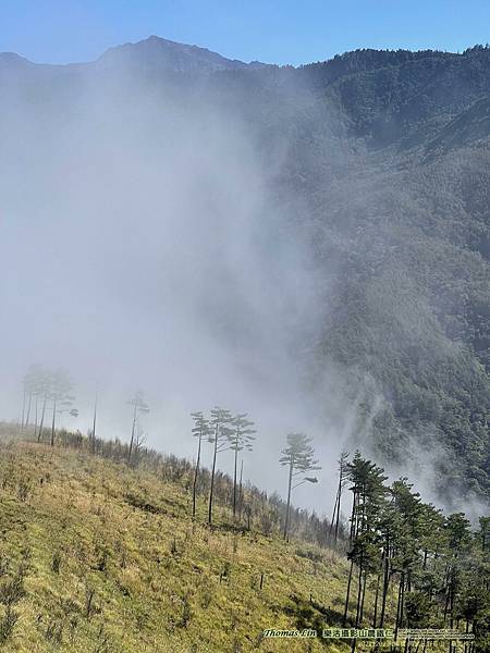 20211202馬武佐野郡山、羅馬神木_027.jpg