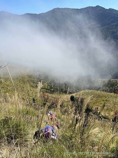 20211202馬武佐野郡山、羅馬神木_028.jpg