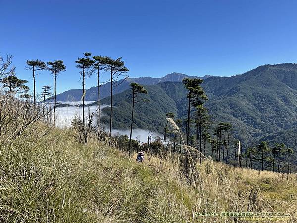 20211202馬武佐野郡山、羅馬神木_034.jpg