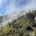 20211202馬武佐野郡山、羅馬神木_093.jpg