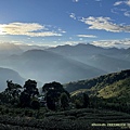 20220213雲嘉10連峰_16.jpg