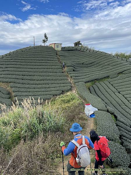 20220213雲嘉10連峰_45.jpg