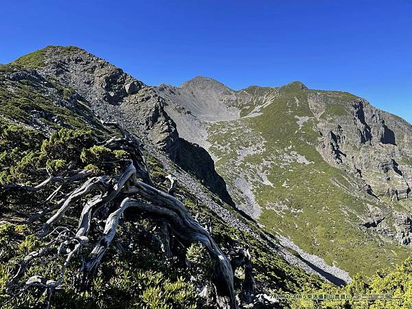 20220712~0713雪山東峰、凱蘭特崑山、北稜角、雪山主峰_20.jpg