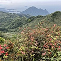 20220407燦光寮步道、燦光寮山_09.jpg