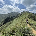 20220409哈巴狗岩、無耳茶壺山、半屏山、草山戰備道_06.jpg