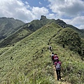 20220409哈巴狗岩、無耳茶壺山、半屏山、草山戰備道_05.jpg