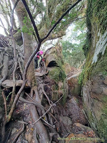 20240129大坪上加里山、杜鵑嶺_08.jpg