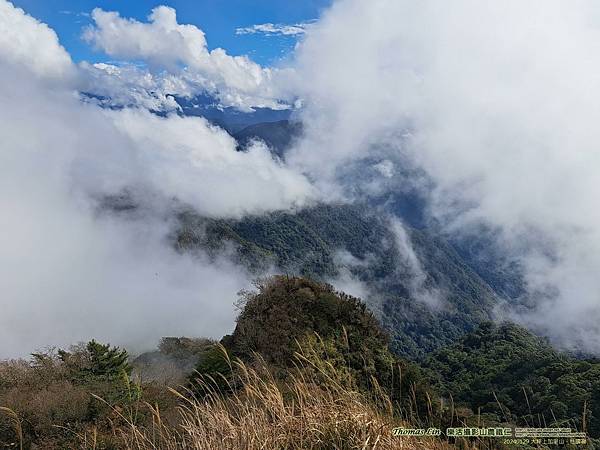 20240129大坪上加里山、杜鵑嶺_12.jpg