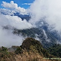 20240129大坪上加里山、杜鵑嶺_12.jpg