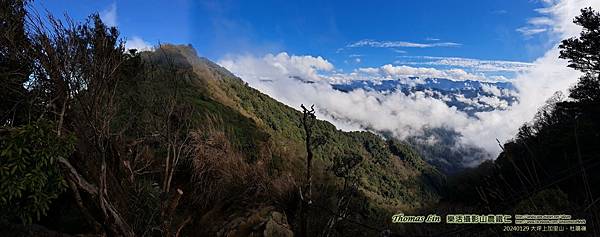 20240129大坪上加里山、杜鵑嶺_14.jpg