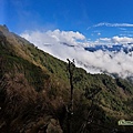 20240129大坪上加里山、杜鵑嶺_14.jpg