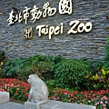 Taipei  Zoo