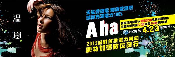 Aha 913-298 Banner Aha 913-298 Banner