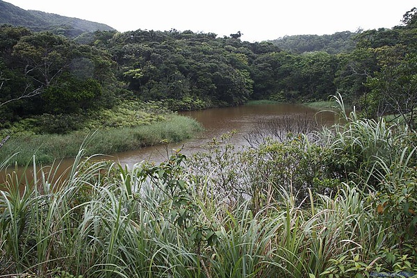 100628南仁湖