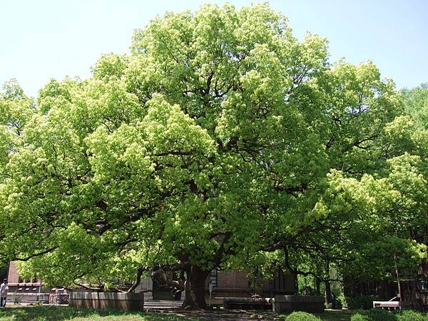 110428東京大學 110428東京大學