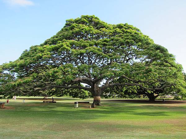 120613 Moanalua Gardens (2)