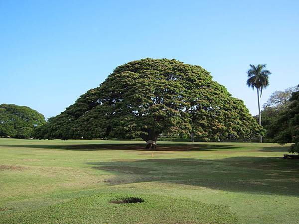 120613 Moanalua Gardens (3)