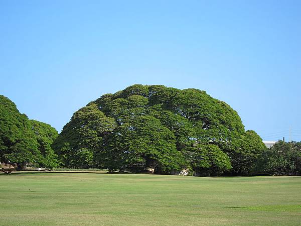 120613 Moanalua Gardens (4)