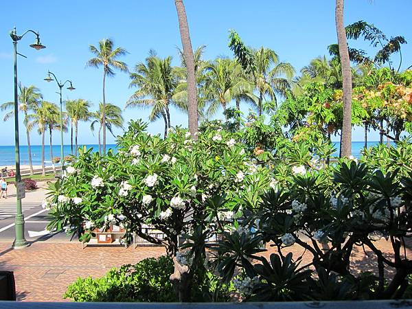 LuLu's Surf Club Waikiki (11)