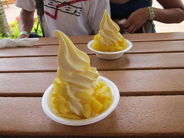 120617 Dole Plantation (8)