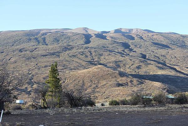 Mauna Kea State Park by Ben (8)