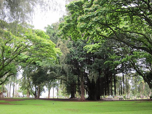 120620 Keaukaha Beach Park (10)