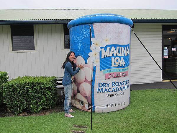 120620 Mauna Loa Macadamia Nut Company (7)