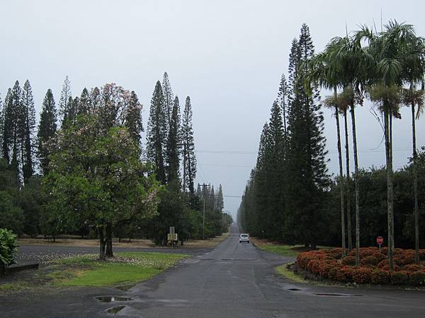 120620 Mauna Loa Macadamia Nut Company (12)