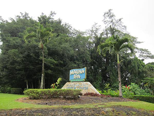 120620 Mauna Loa Macadamia Nut Company (13)