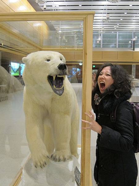 130307 Fairbanks Int Airport (7)