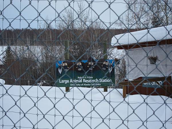 130308 UAF Large Animal Research Station (2)