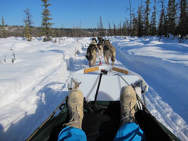 130311 Dog Sledding @ Paws For Adventure (32)