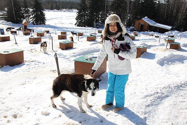 130311 Dog Sledding @ Paws For Adventure by Ben