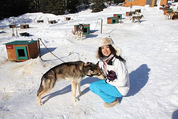 130311 Dog Sledding @ Paws For Adventure by Ben