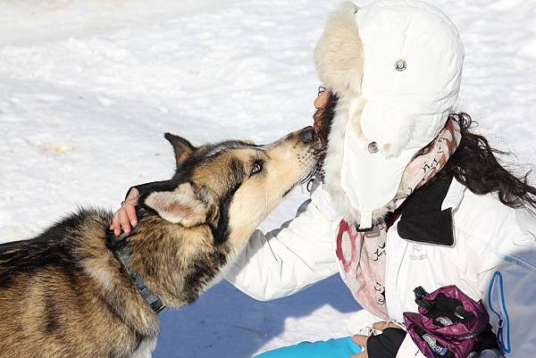 130311 Dog Sledding @ Paws For Adventure by Ben