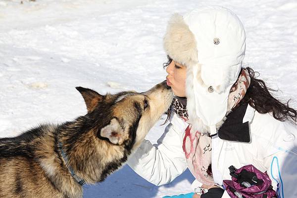 130311 Dog Sledding @ Paws For Adventure by Ben