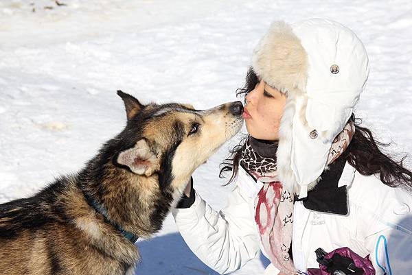 130311 Dog Sledding @ Paws For Adventure by Ben