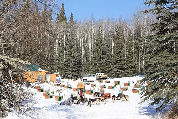 130311 Dog Sledding @ Paws For Adventure by Ben