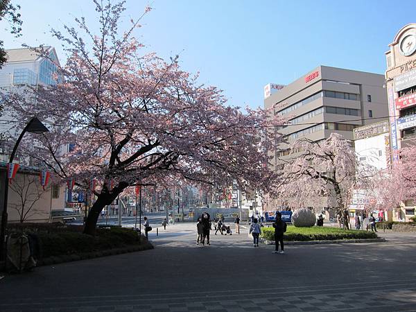 130317 (1) 130317 (1)