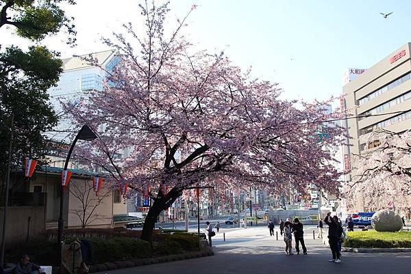 130317 by Ben 130317 by Ben