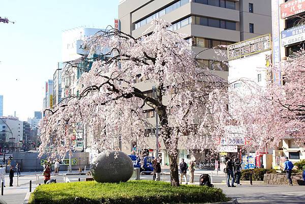 130317 by Ben 130317 by Ben