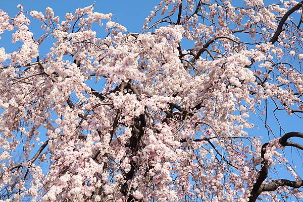 130317 by Ben 130317 by Ben