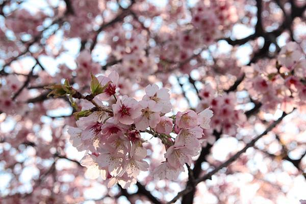 130317 by Ben 130317 by Ben