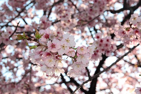130317 by Ben 130317 by Ben