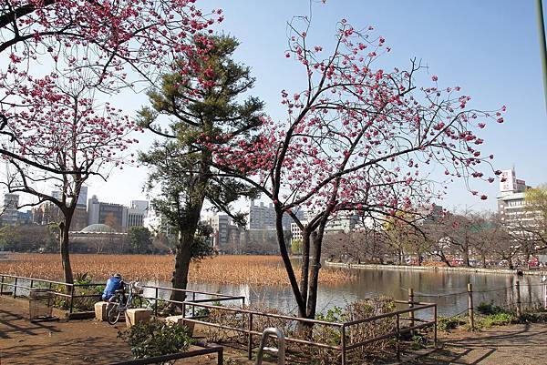 130317 by Ben 130317 by Ben