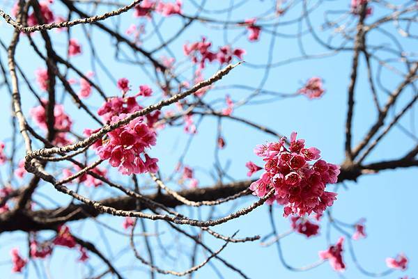 130317 by Ben 130317 by Ben