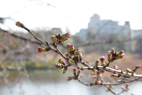 130317 by Ben 130317 by Ben