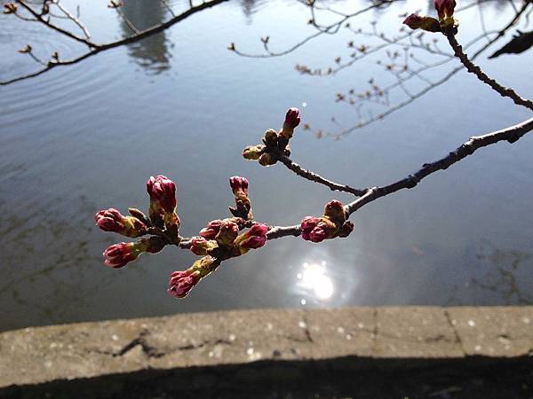 130317 by Ben 130317 by Ben
