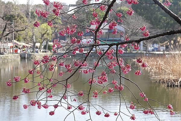 130317 by Ben 130317 by Ben