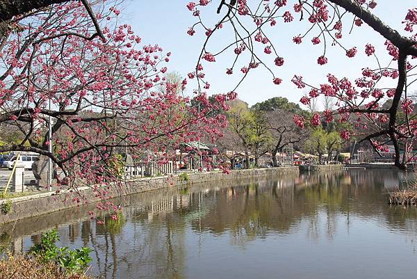 130317 by Ben 130317 by Ben